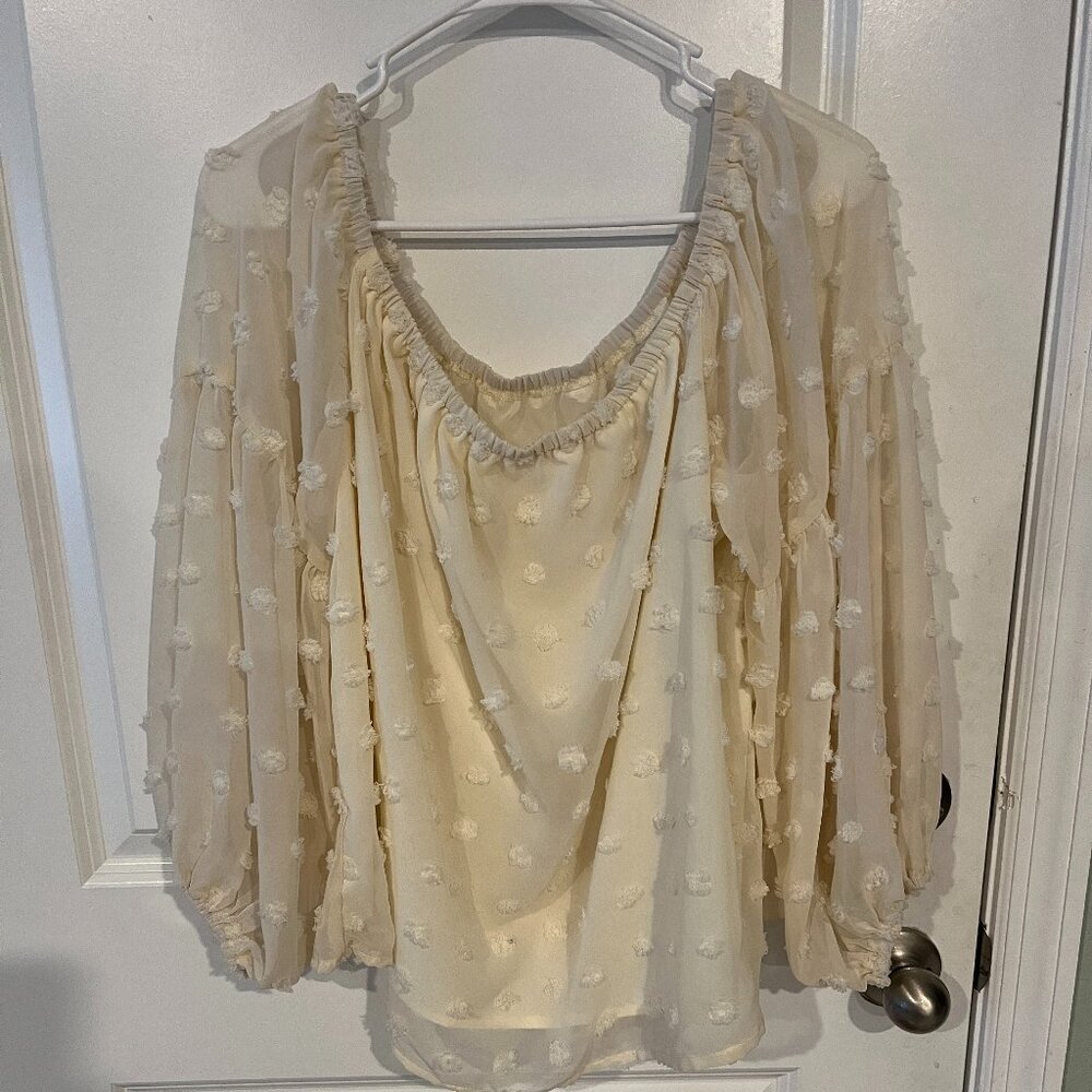 Joress Curve  Woman's Lace Long Sleeve Elegant Top Size 3XL